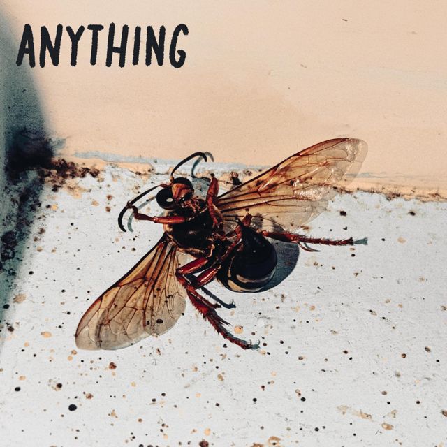 West Nevada - 'Anything' [Ringtone]