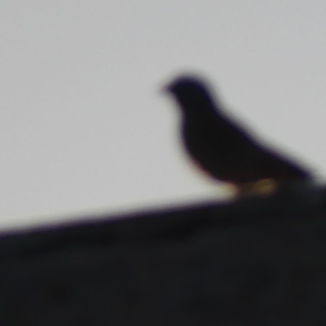 YounesKh05 - 'Stratosphere' [Ringtone]
