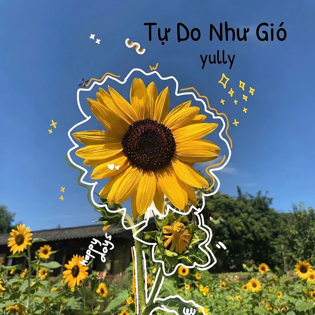 Yully - 'Tự Do Như Gió (Offical)' [Ringtone]