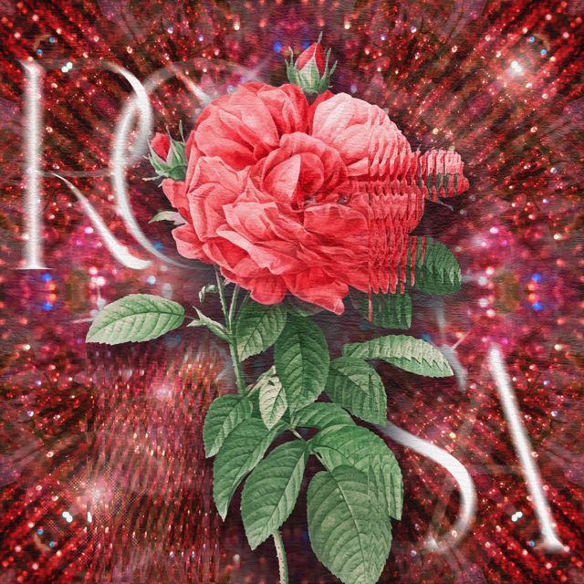 ZangerForce - 'Rosa' [Ringtone]